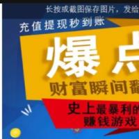 YL火箭逃跑刺激财富翻倍无授权+搭建视频教程[已对接免签支付+免公众号接口]【H5爆点】